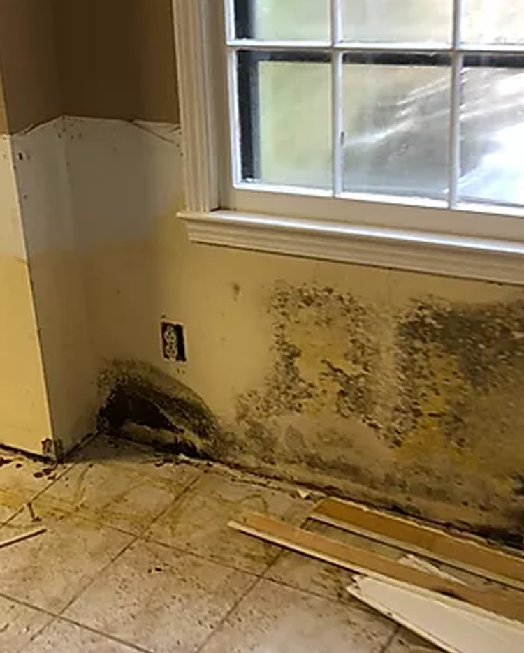 247 Fire Water Mold Restoration And Reconstruction Our Services