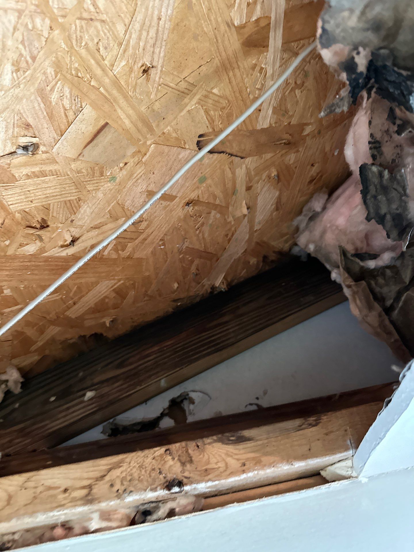 One Stop Restoration - Water damage repair Sandy Springs GA (10)