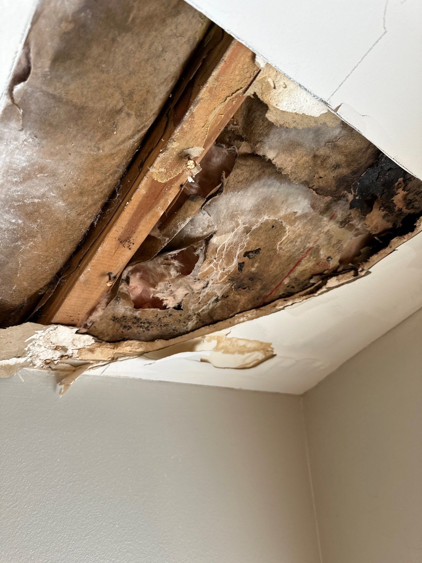 One Stop Restoration - Water damage repair Sandy Springs GA (7)