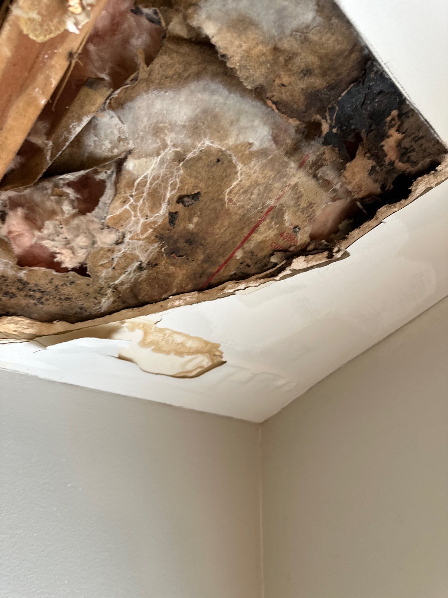 One Stop Restoration - Water damage repair Sandy Springs GA (8)