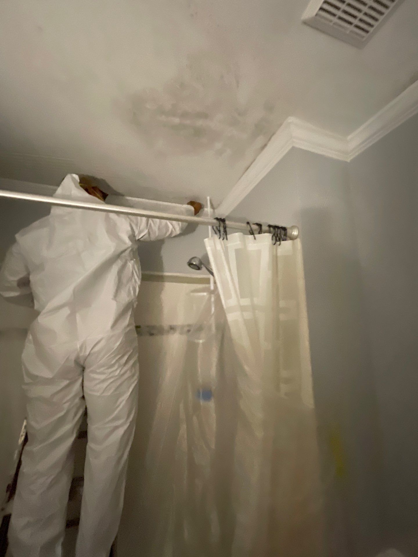 Mold remediation services Lilburn GA (3)