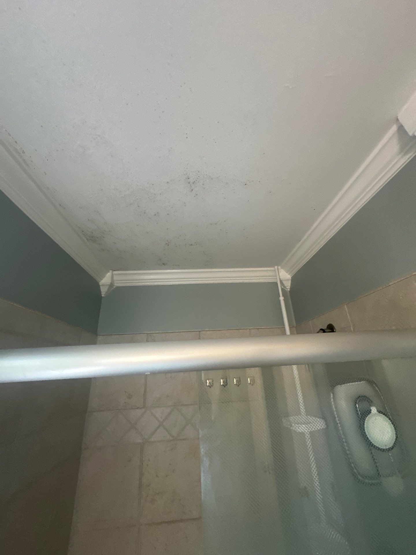 Mold remediation services Lilburn GA (4)