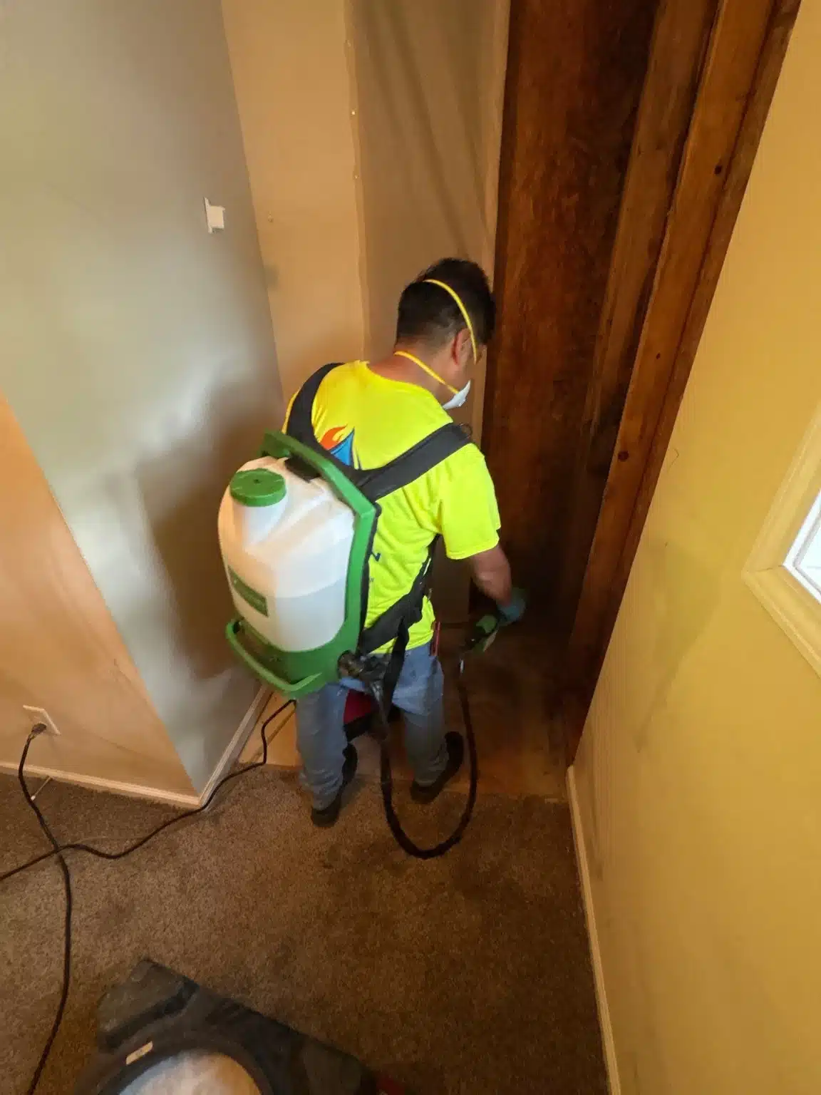 Technician applying antimicrobial treatment to the exposed structure