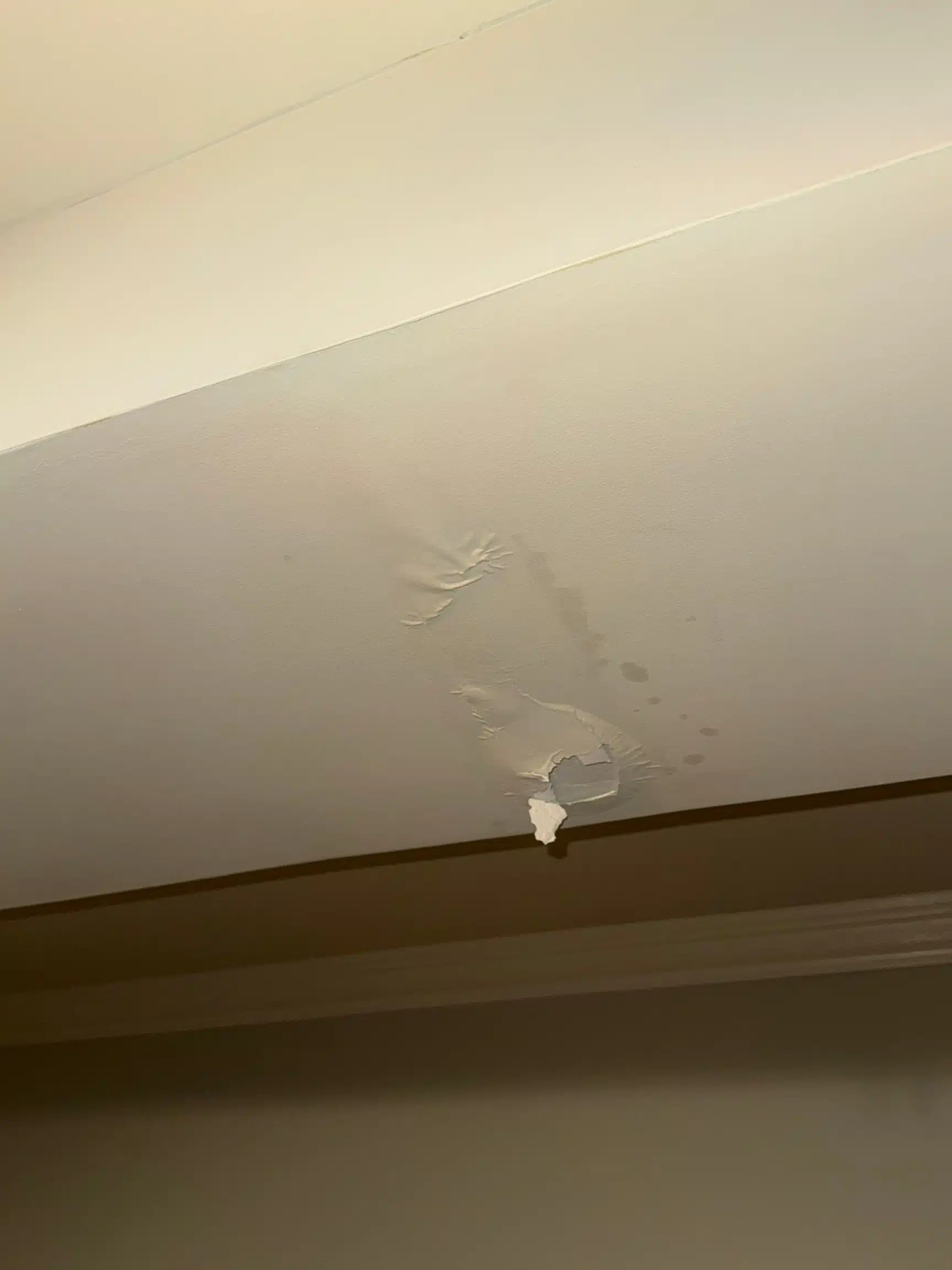 Paint bubbling and staining on the basement ceiling around a light fixture