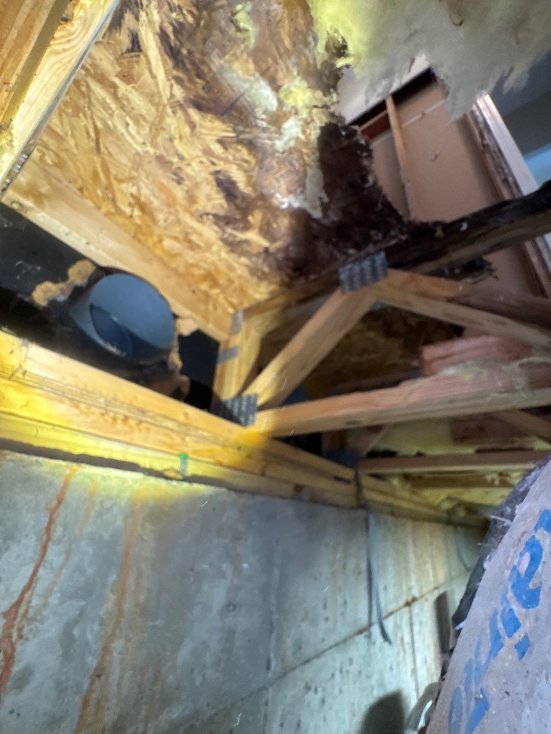 Damage being documented on site before demolition begins on a sewage cleanup job