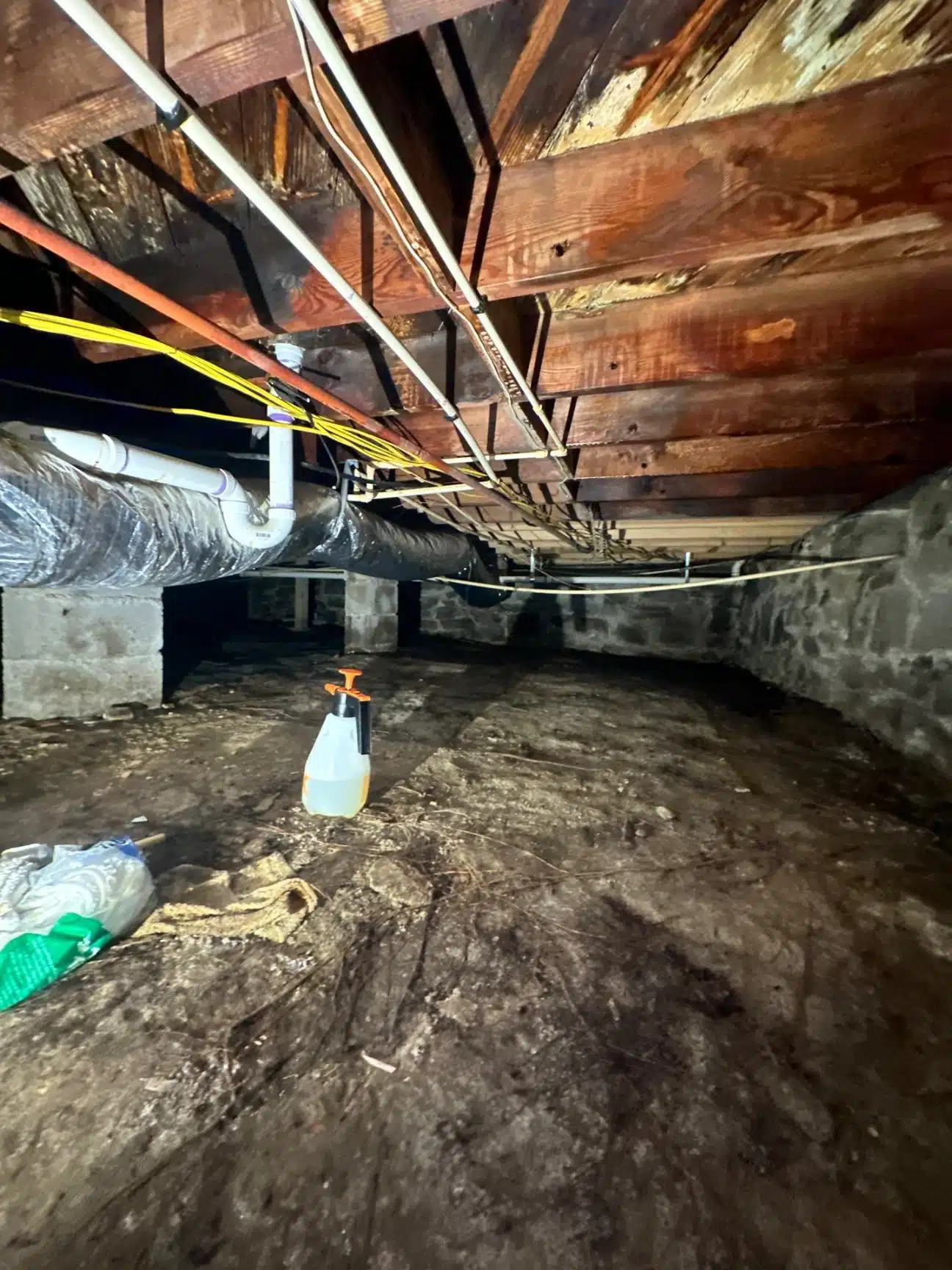 Dark growth on the subfloor and floor joists above the crawlspace dirt