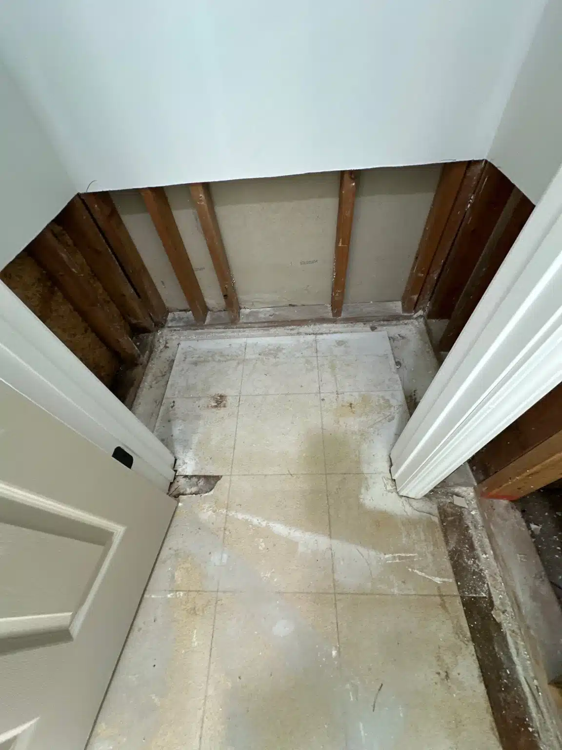 Exposed studs and bottom plate after affected material was removed