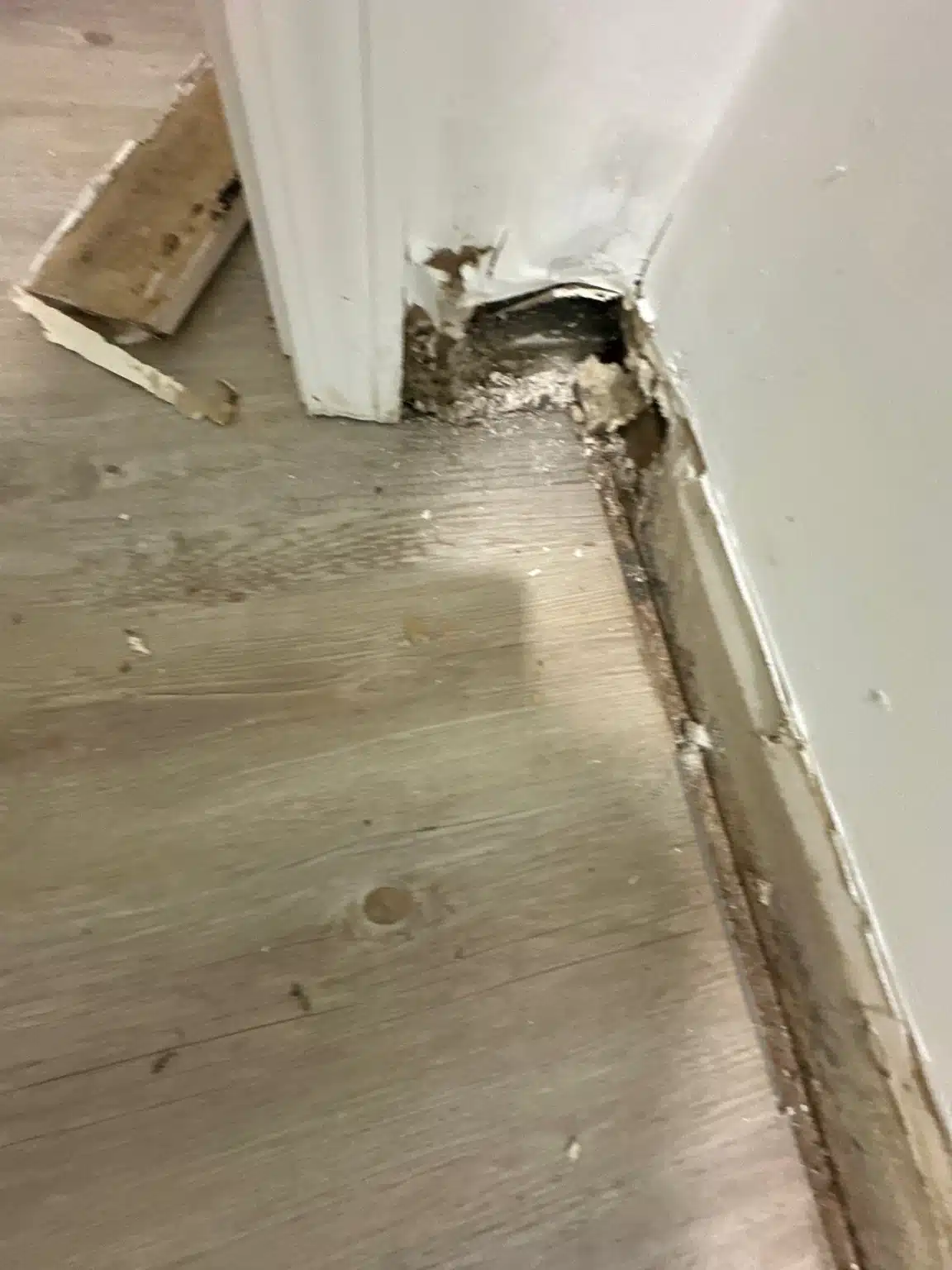 Staining along the bottom plate and lower drywall beside the affected flooring