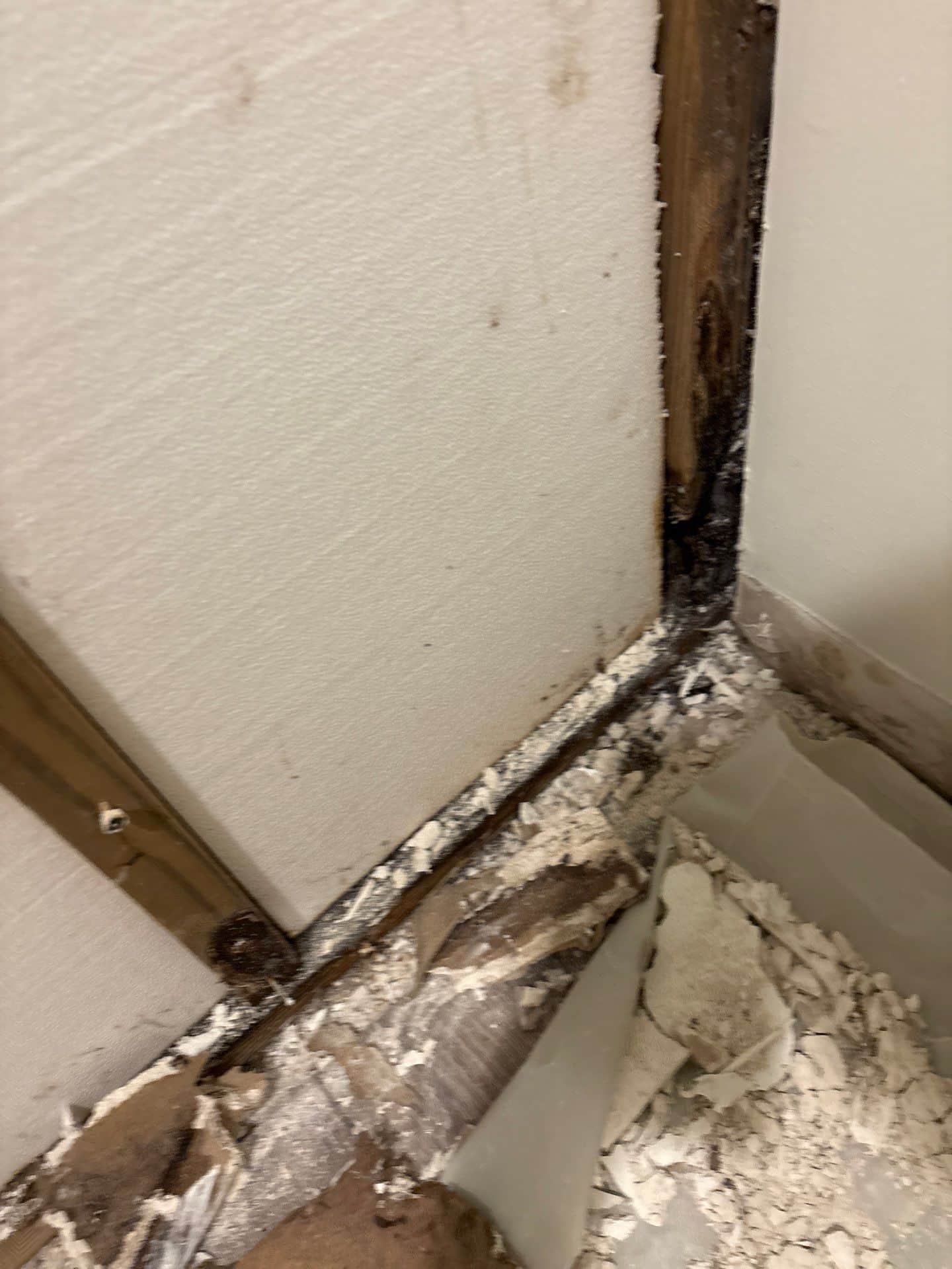 Black mold growth spreading up a wall corner and along the baseboard