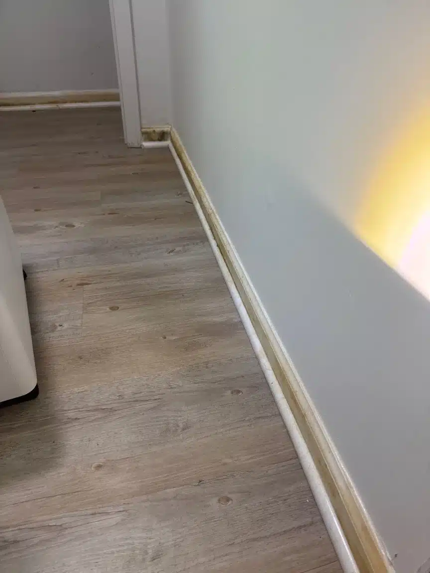 Cleared wall and flooring after treatment, with no remaining affected material