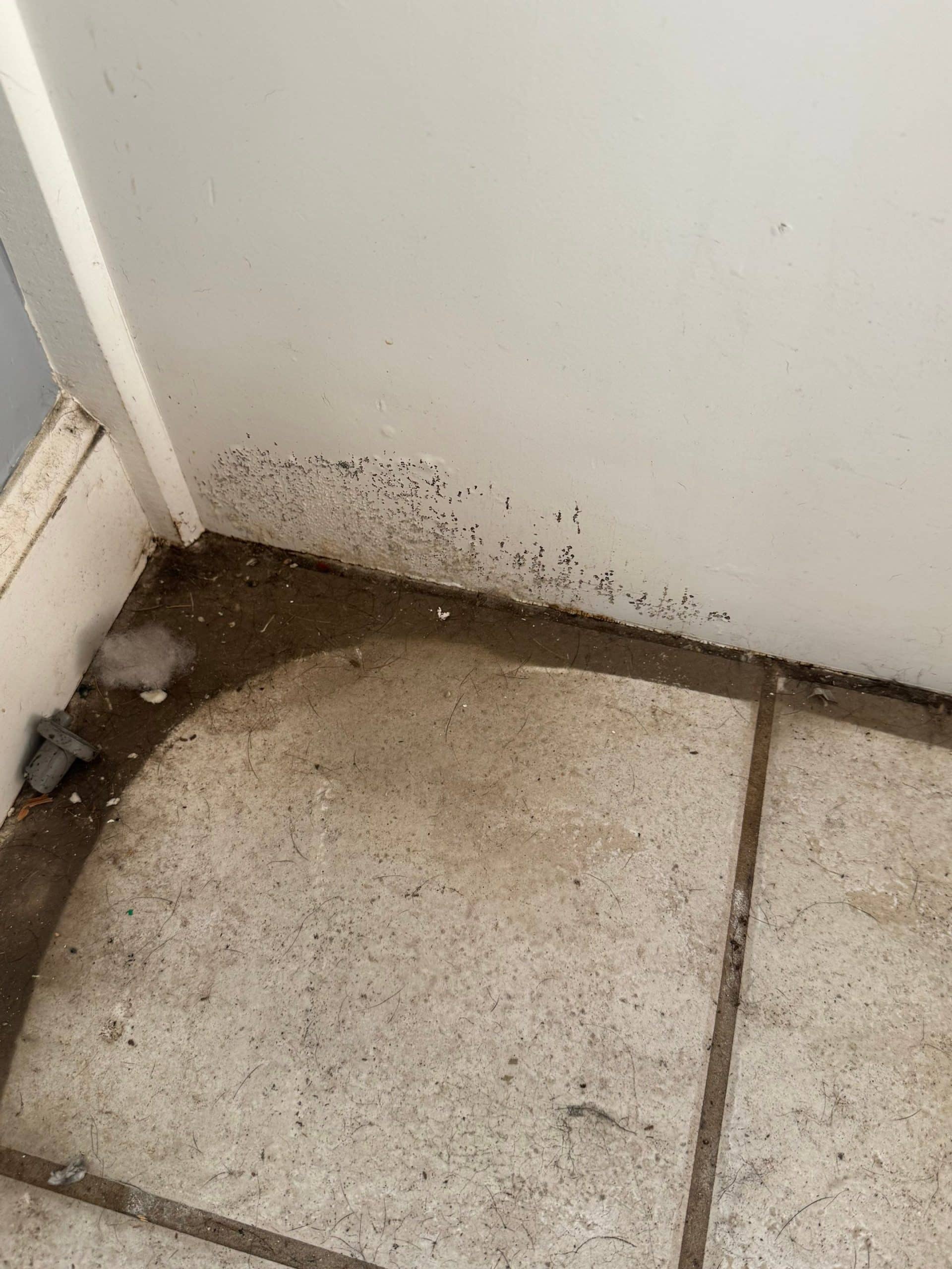 Damage spreading across a slab-on-grade floor in an Atlanta suburb