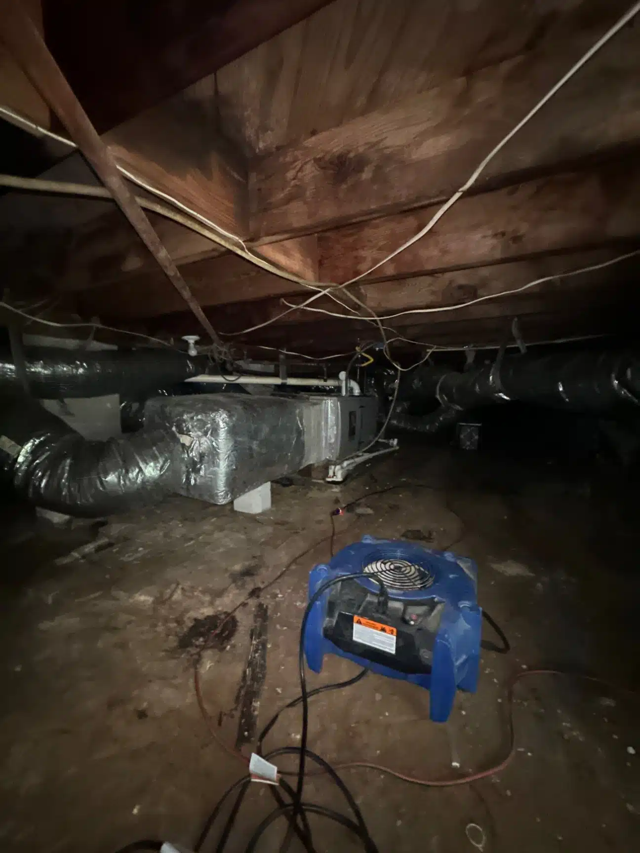 Drying equipment running in the crawlspace after treatment