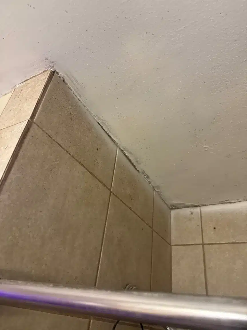 Detail of the ceiling and wall junction where the affected drywall was cut back