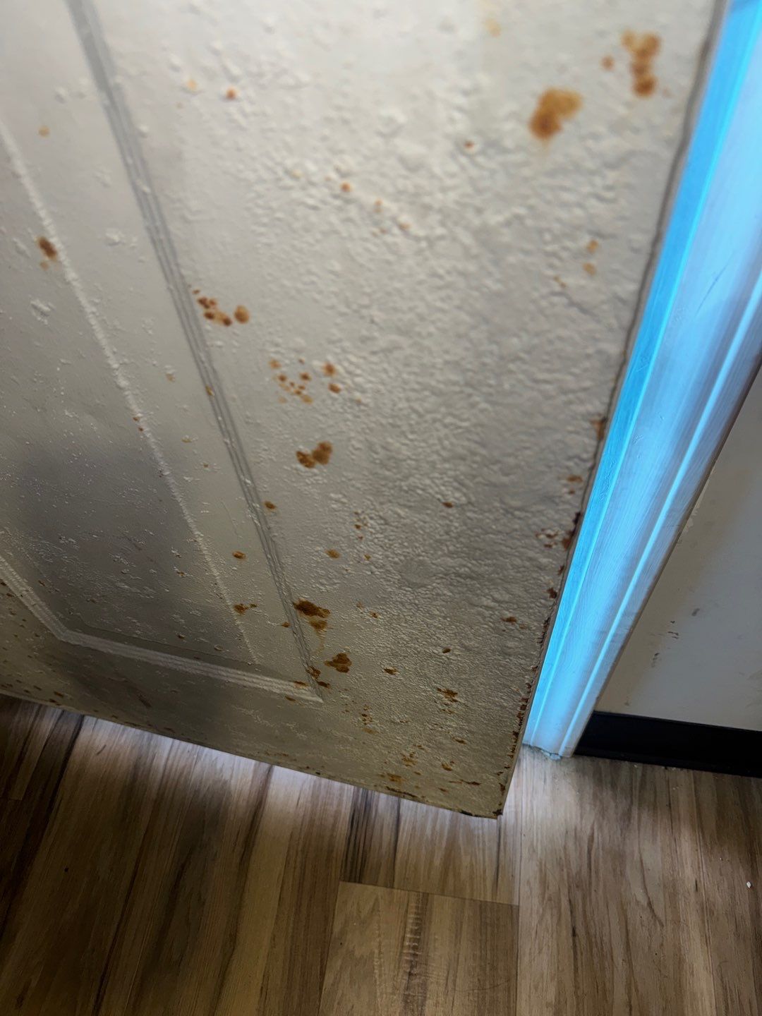 Water staining spread across a wall, showing damage well beyond the original leak point