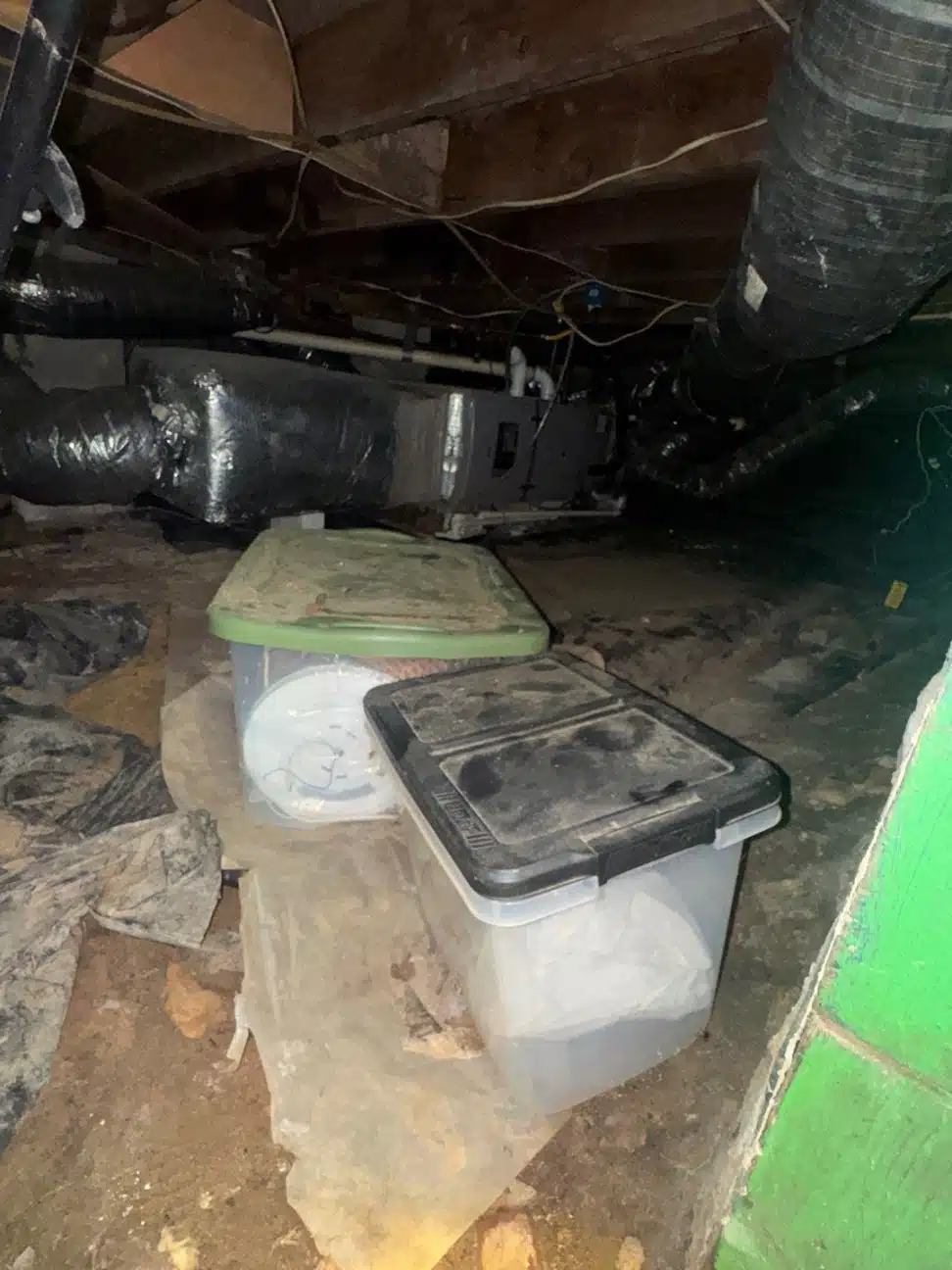 Antimicrobial treatment staged on the crawlspace floor beside the plumbing runs