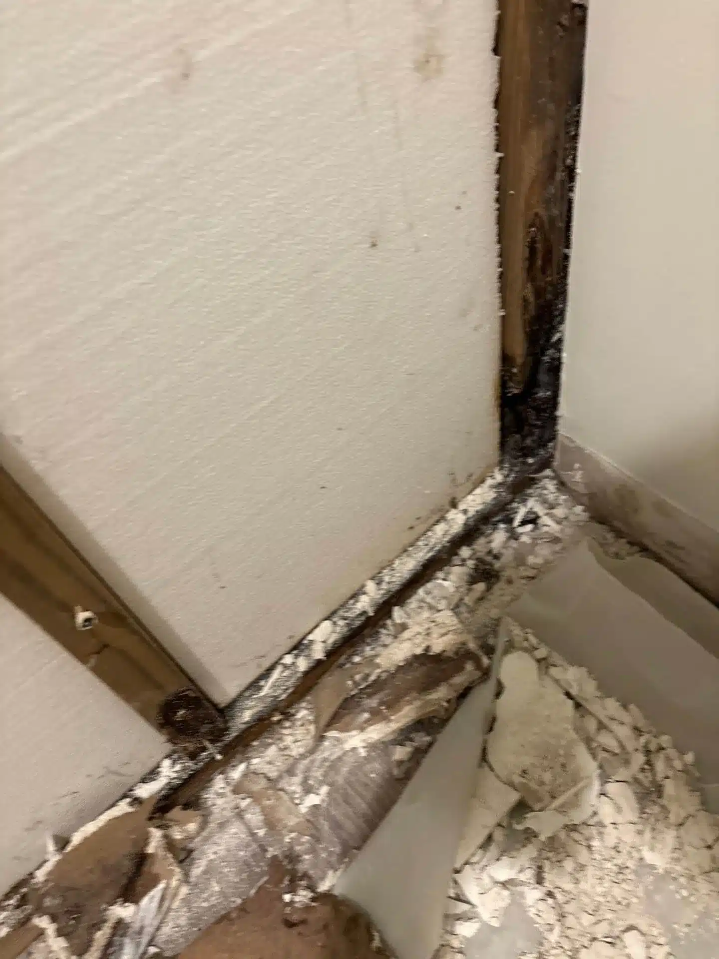 White drywall corner with dark wood stud and joint compound dust along the seam