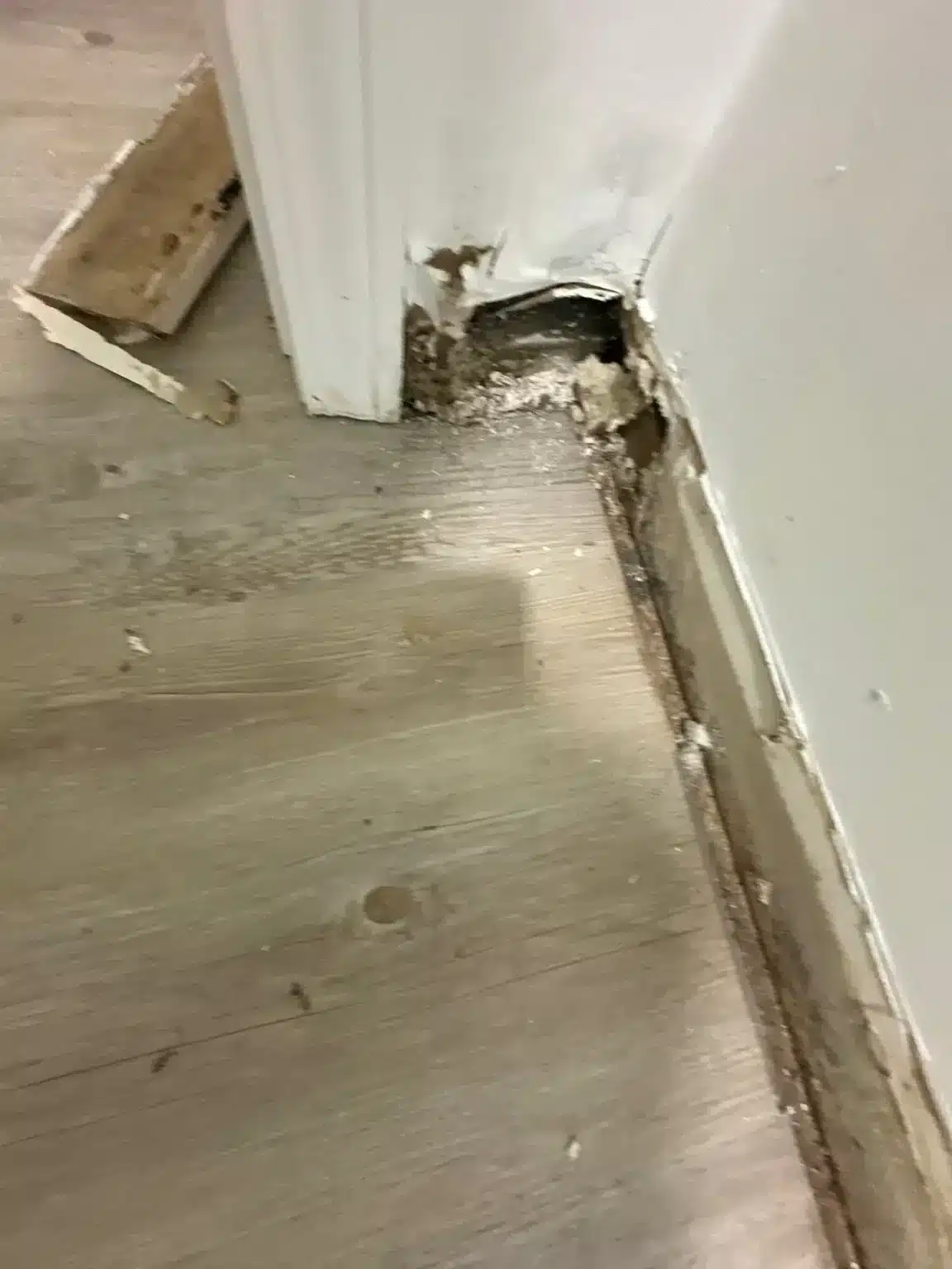 Deteriorated wall base beside a white door frame, with removed trim and debris on wood-look flooring.